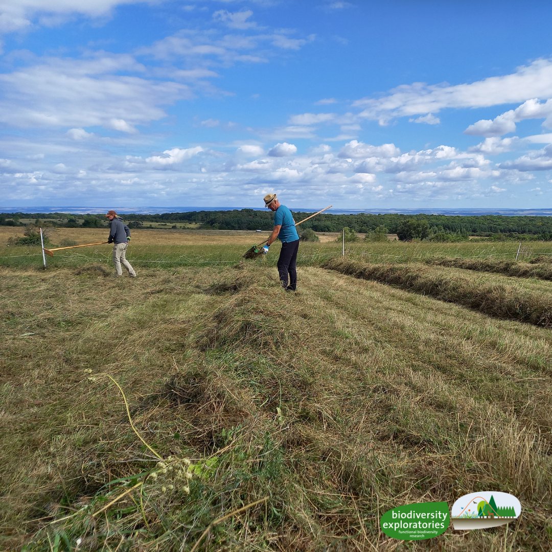 Biodiversitäts-Exploratorien tweet media