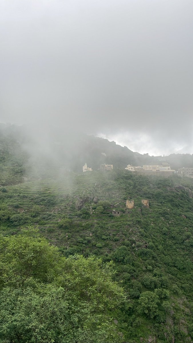 Turhimself's tweet image. 23 August, 
under the gentle rhythm of rain🩶❄️