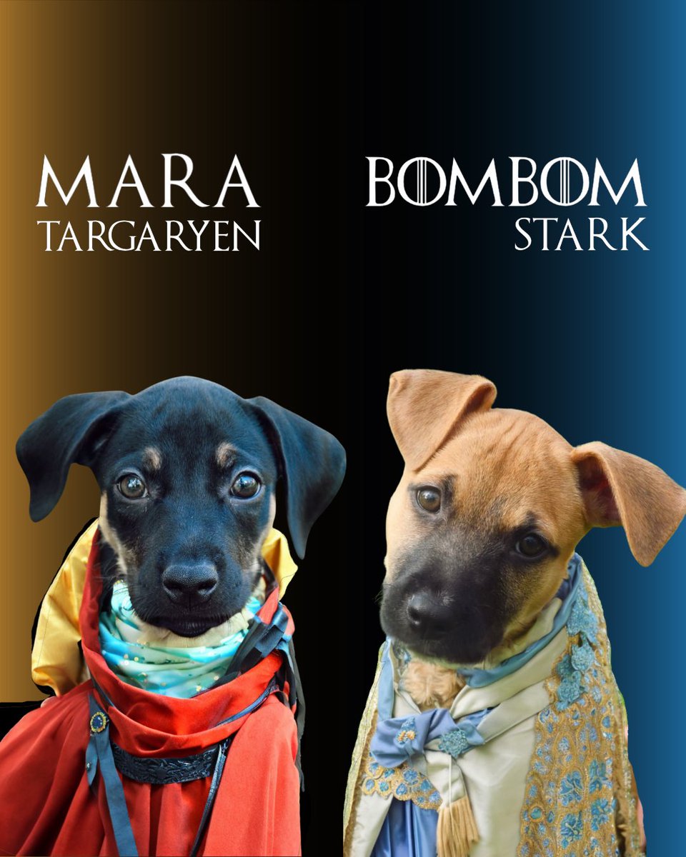 Una feria llena de valientes guerreros… los esperamos este domingo en El Patio!