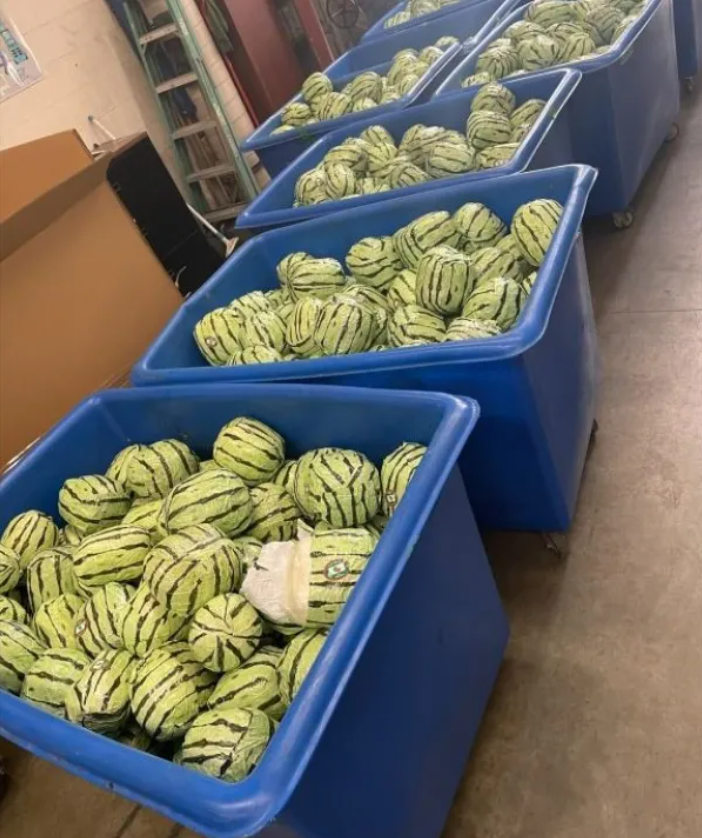 CBP's tweet photo. The watermelon is known for being a refreshing fruit, but...CBP officers seized more than $5M worth of meth disguised and concealed within a shipment of watermelons. Officers uncovered 1,220 packages, weighing over 4,000lbs disguised as watermelons. ➡️https://t.co/rFVZcc5xPB https://t.co/VSXFbp3Cg2
