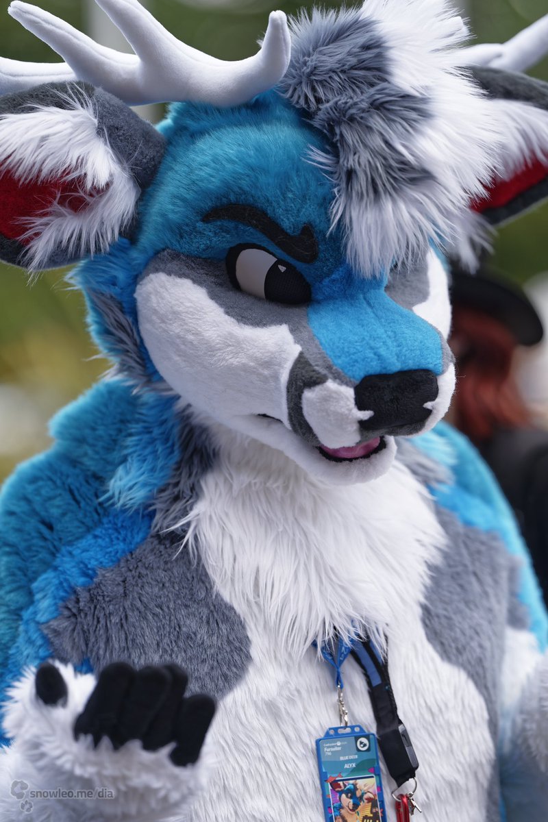 Moofles ๐ฆ (Taylorโs Version) (@moof_floof) on Twitter photo See how Iโm a buck? Very deermure, very mindful. #FursuitFriday
๐ธ <a href="/KimuraSnepShots/">KimuraSnepShots</a> See how Iโm a buck? Very deermure, very mindful. #FursuitFriday
๐ธ <a href="/KimuraSnepShots/">KimuraSnepShots</a>