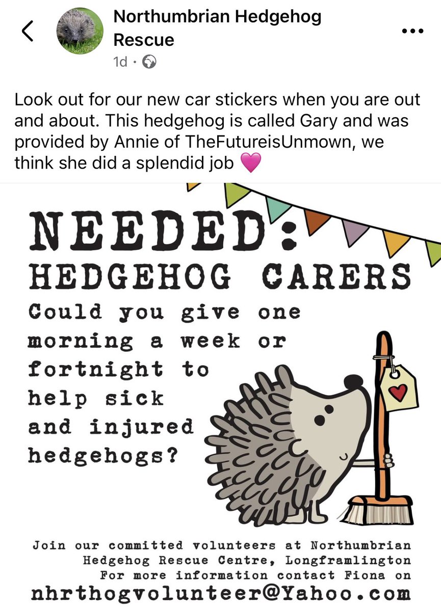abbsatkinson's tweet image. Volunteers needed! 🦔🦔#helpthehedgehogs #savethehedgehogs #hedgehogs #northumberland #northeast #nefollowers #newcastleupontyne