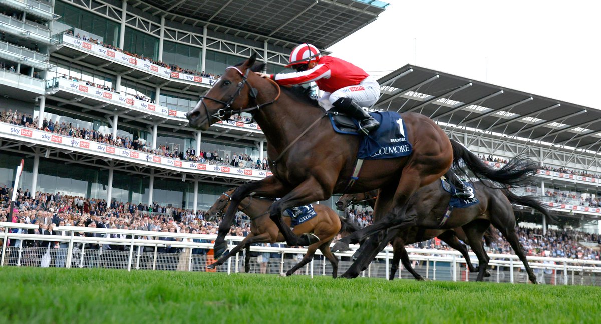 British Horseracing Authority tweet media