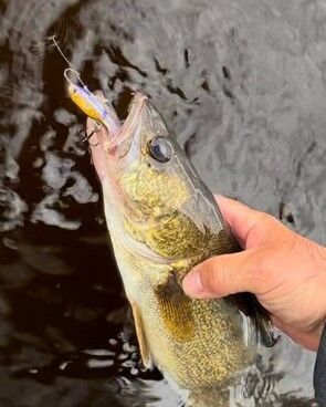 AcmeTackle's tweet photo. The Hyper-Rattle combines the enticing action of a rattle bait with the deadly flash of a spoon. 
https://t.co/uFe9CHRv39

#fishing #fishinglures #fishingtackle
#fishingislife #acmetackle #fishinglovers #fishinglifestyle 
#kalins #jigfishing #jig #bassjig #walleyejig #crappiejig https://t.co/RJXgag3cuI
