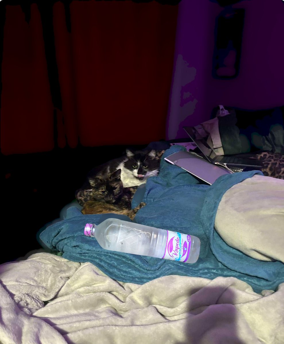 Even in the comfort of your bedroom, always keep a bottle of Kapedo Drinking Water by your side. Whether it’s to quench your midnight thirst or simply to stay refreshed, Kapedo Water is the perfect companion for a restful night. Pure, local, and always there when you need it.