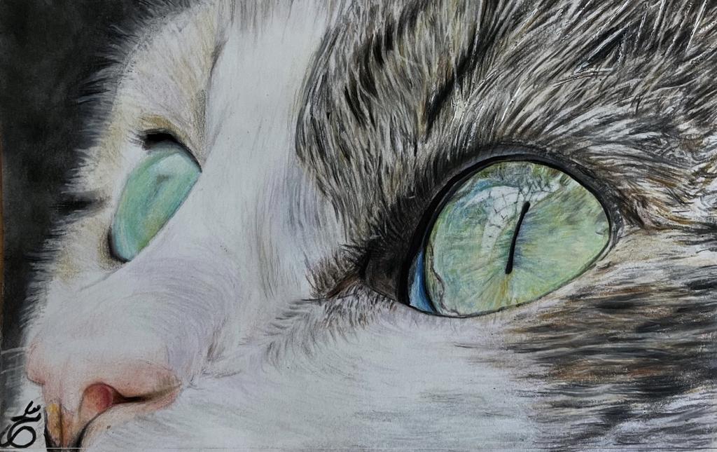 sahar_ghrmni80's tweet photo. 👩🏻🎨This is physical painting with colored pencil
________
🐈⬛Name: Sad Cat
🐈⬛Collection: colored pencil
🐈⬛Price: 3 #xtz
_______
#nftpainter
#tezospainters
🔗https://t.co/wxyz86TSXP https://t.co/h4kUhhkyGu