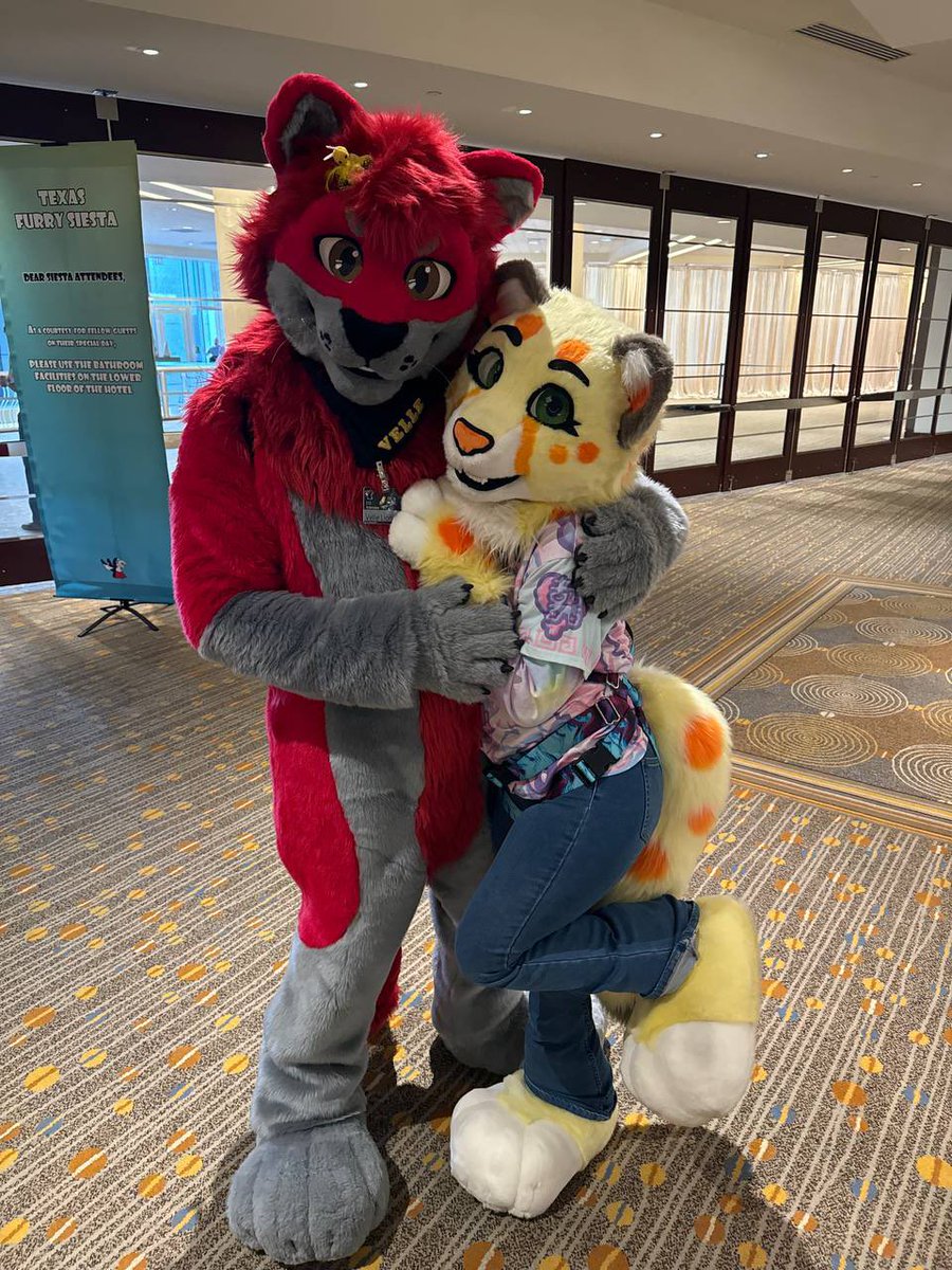 Big cats are best cats <a href="/VelleLion/">Velle/Ruger Shep🛫 TFS</a> 💕💕💕