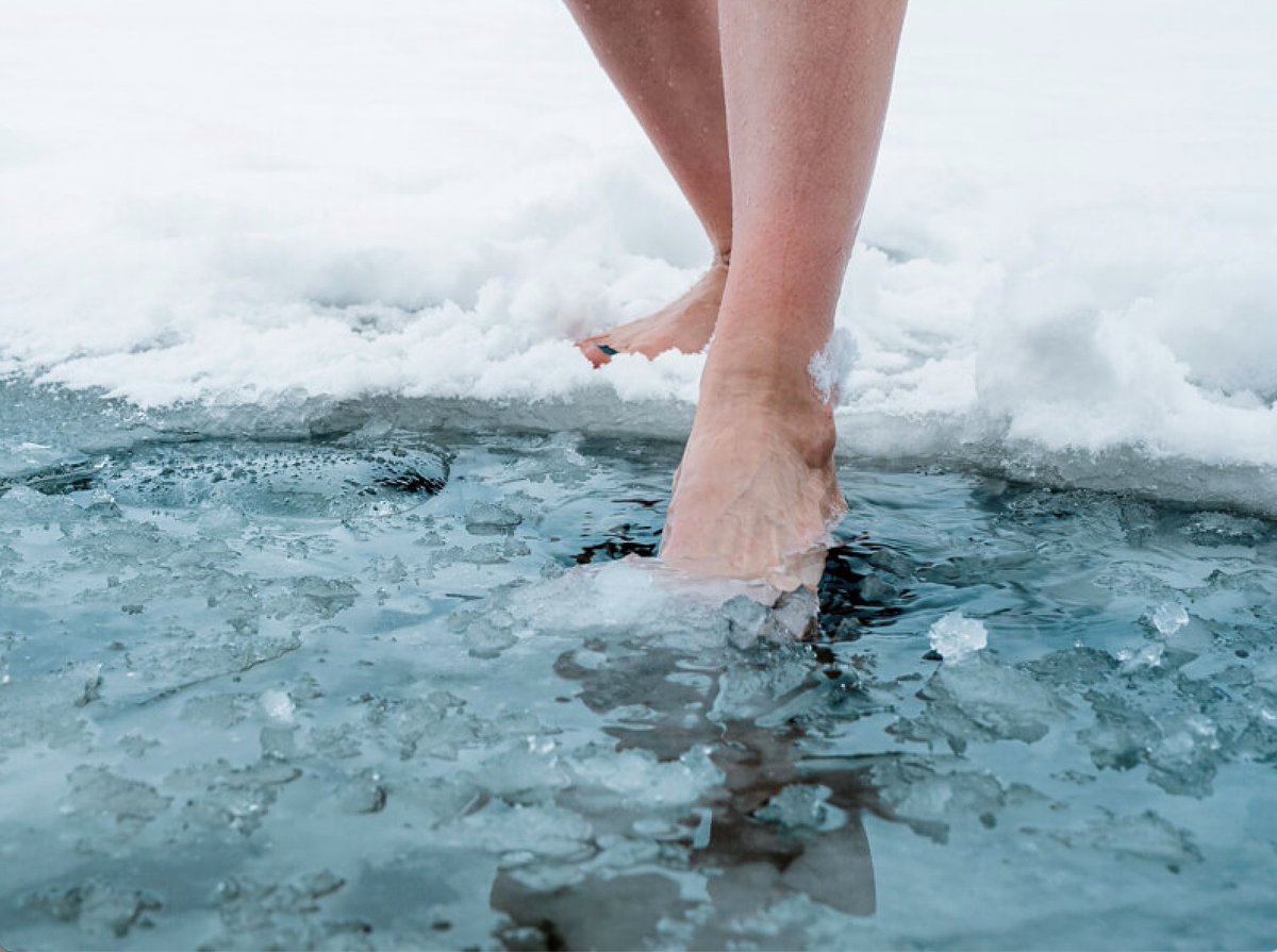 PŪNGAO ⚡️🍯 tweet media