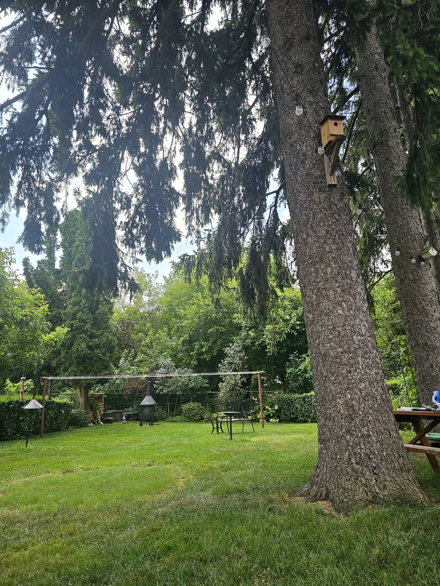 PauletteKarges's tweet photo. Our backyard oasis❤️ https://t.co/p1vjJXUW74