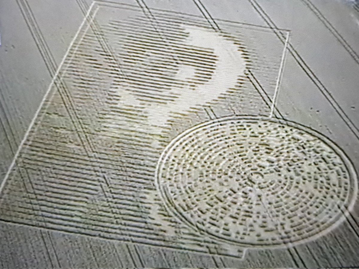 aerovimana's tweet image. 🤟🏼🛸🎸
We Oppose Deceivers ‼️
#UAPTwitter #UapTech #ufoX #NikolaTesla #SecretTechnology #HiddenTech #DeepState #DoD