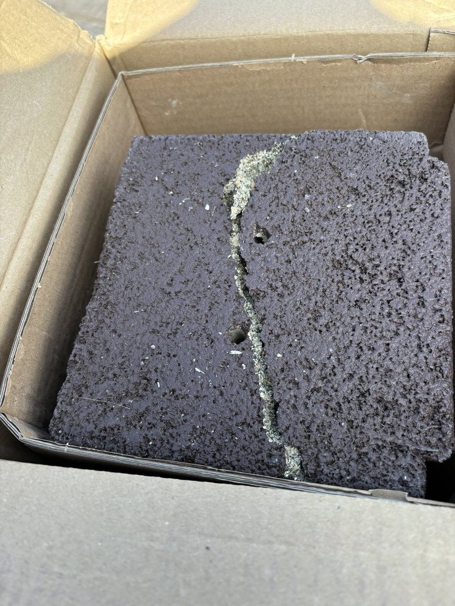 Pam Ayres MBE tweet media