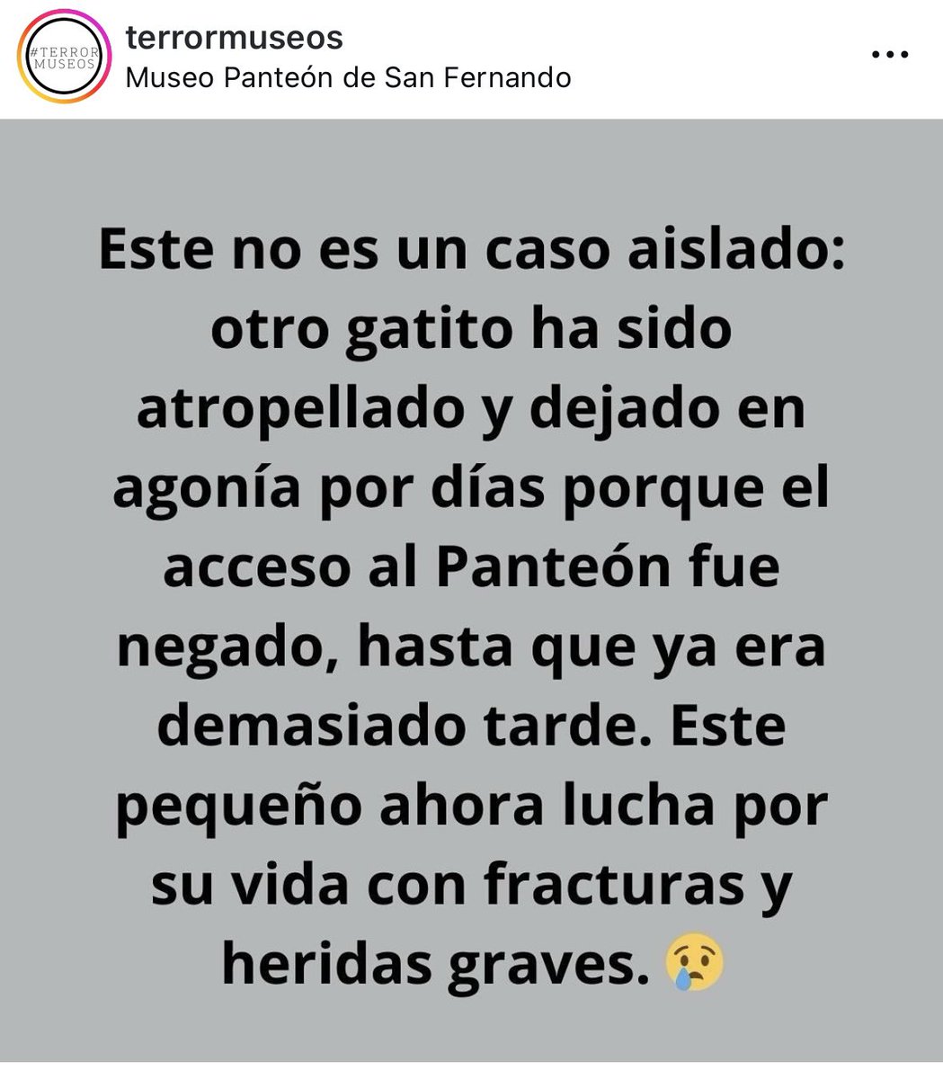 VekaDuncan's tweet photo. Es alarmante la situación que se está viviendo con los gatos del @PanteonSanFer, lo que solía ser un refugio se ha convertido en un infierno. Es urgente la intervención de las autoridades, no se puede seguir tolerando este maltrato
@CulturaCiudadMx @GobCDMX @anafrancismor @ccurieldeicaza @ClaraBrugadaM @AgatanCdmx @PAOTmx @LetyVarela