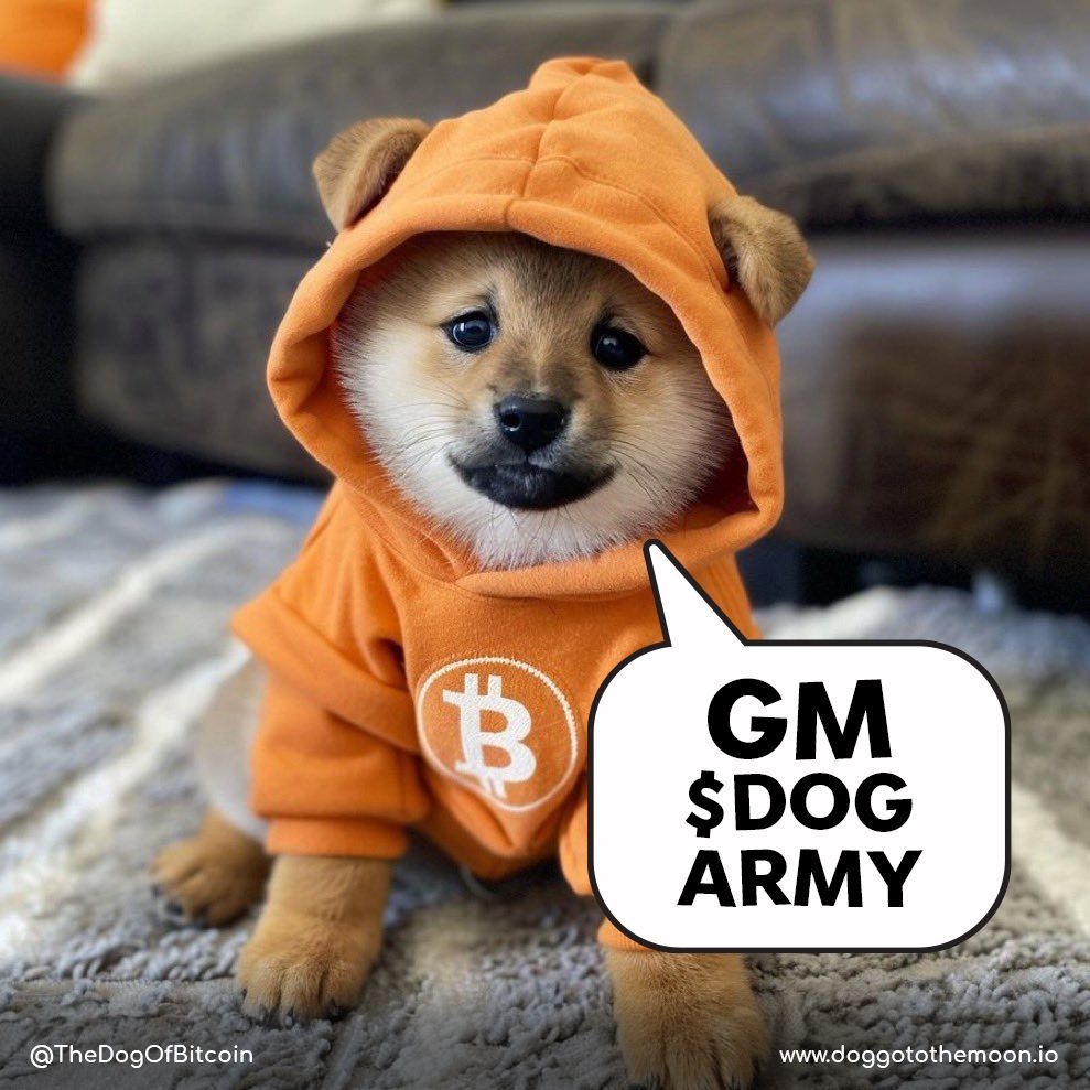 The_Dog_Of_BTC's tweet photo. GM $DOG Army! https://t.co/bl2jGrcxMb