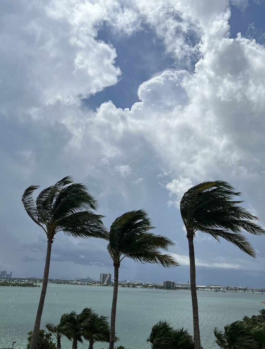 Feliz viernes! ❤️❤️❤️