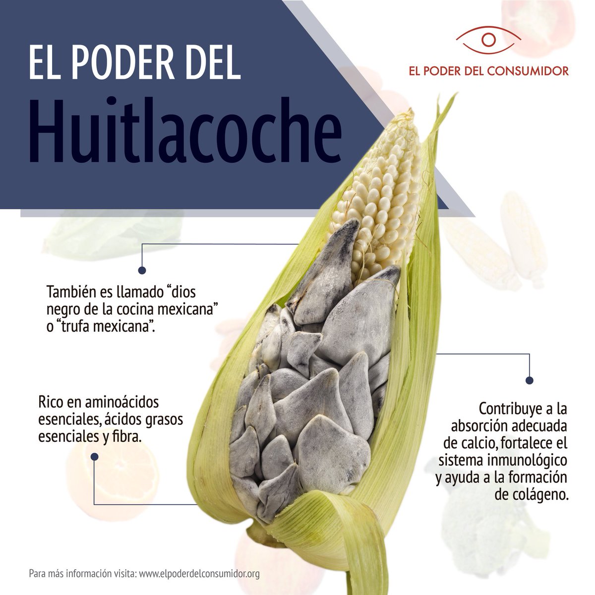 elpoderdelc's tweet photo. 🌽🍄 El huitlacoche, también llamado “dios negro de la cocina mexicana” o “trufa mexicana”, es un hongo comestible que aparece en las mazorcas de maíz y prolifera en la temporada de lluvias. 

Consumirlo naturalmente aporta diversos nutrimentos. https://t.co/lwBTnMq9bJ