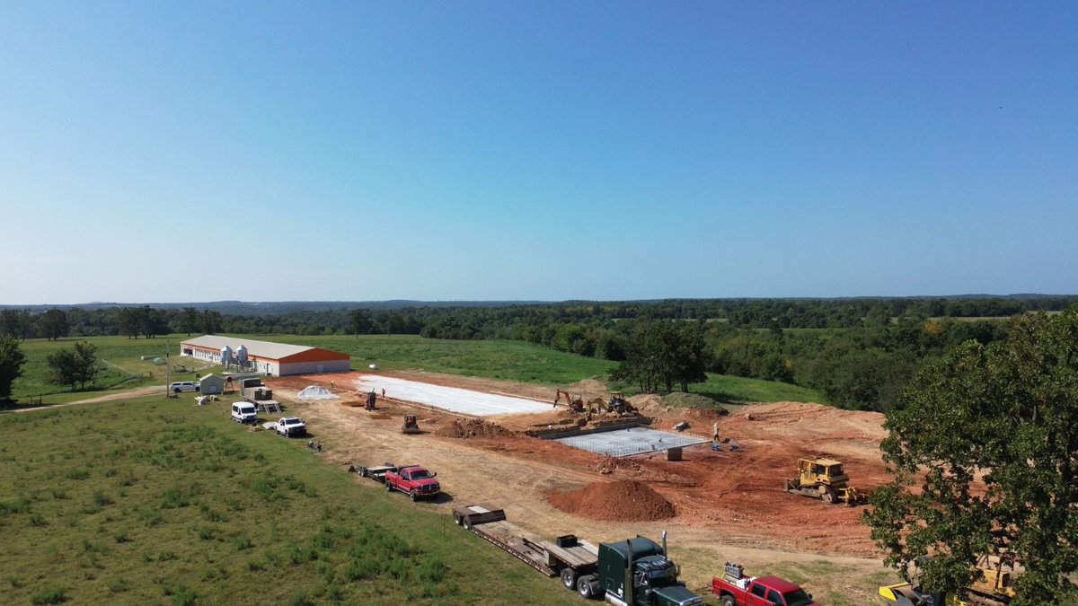 Potters Poultry tweet media