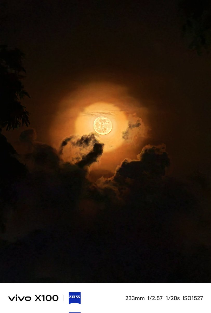 itsnot_Daz's tweet photo. @Mrwhosetheboss Meanwhile vivo is kinda nailing it on their phones too. Using night mode and deactivating supermoon mode while also patiently waiting for the camera to switch to its tele lens https://t.co/bQIXyU9kXO
