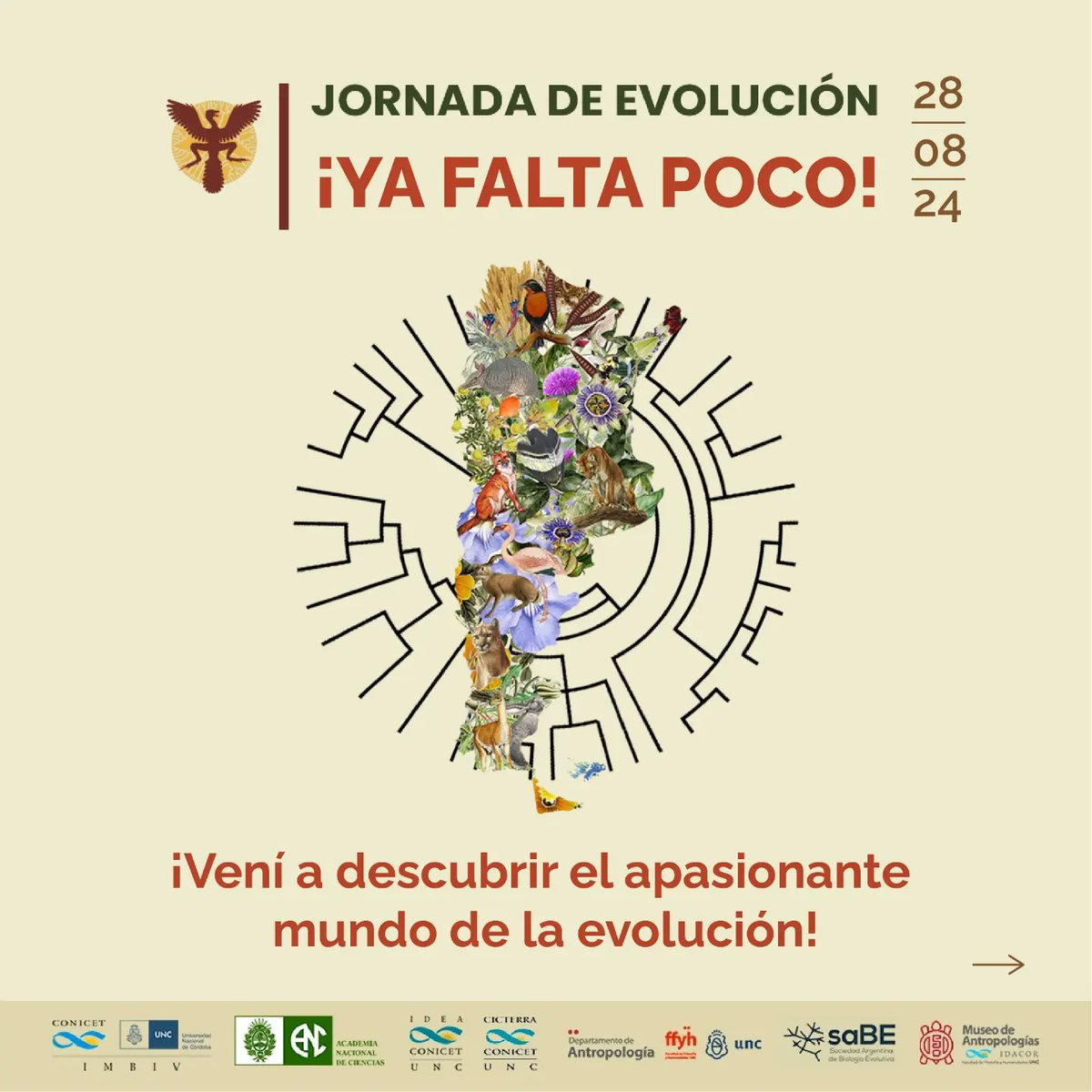 EvoArgentina's tweet photo. ✨Jornada de Evolución 2024 - Córdoba -

¡Llega una nueva edición de las Jornadas de Evolución! Te invitamos a ser parte de este encuentro en el que investigadores/as cordobeses nos contarán acerca de las fascinantes historias que la evolución tiene para contarnos. https://t.co/WOZ2qVygiN