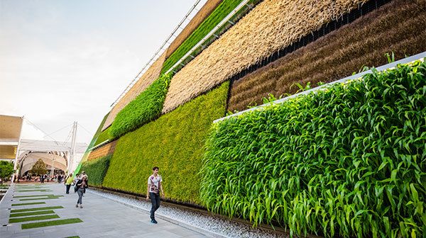 Learn 3 ways a #CHRO can mobilize their entire organization toward ESG ambitions on Deloitte's #CapitalH blog. deloi.tt/4cBzB3R