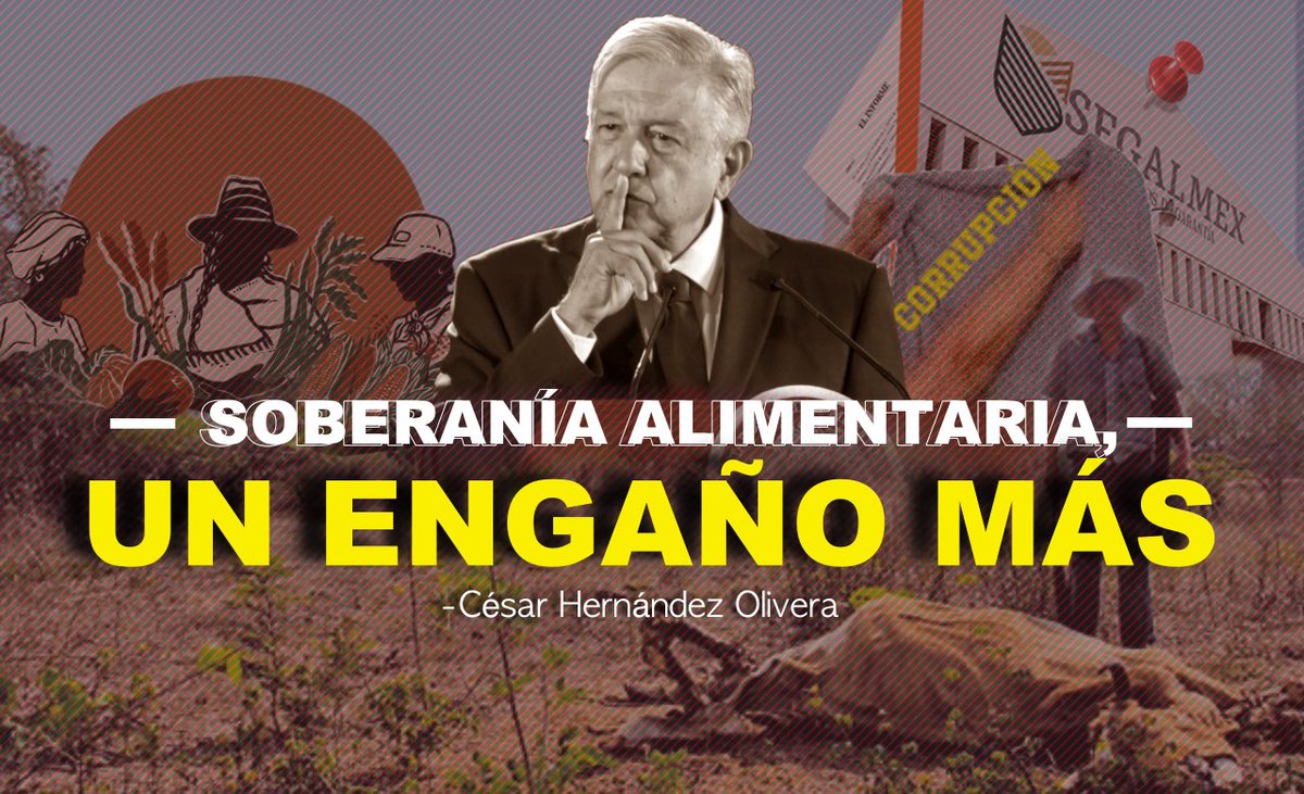 CesarHdzOlivera's tweet photo. Excelente viernes, te invito a leer mi colaboración, que esta ocasión se titula: Soberanía alimentaria, un engaño  más
 
Aquí el texto completo: https://t.co/iuRhLRRs3O https://t.co/DxVsQetwuT