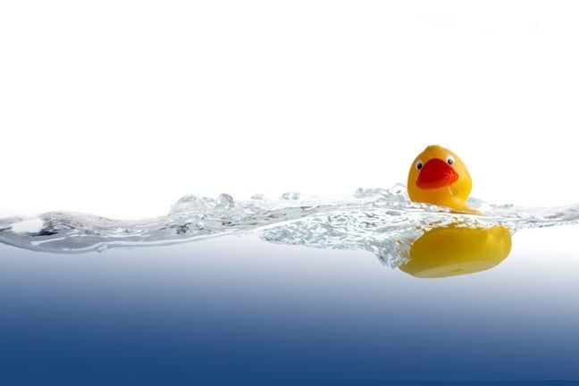 Sarah Conway tweet media