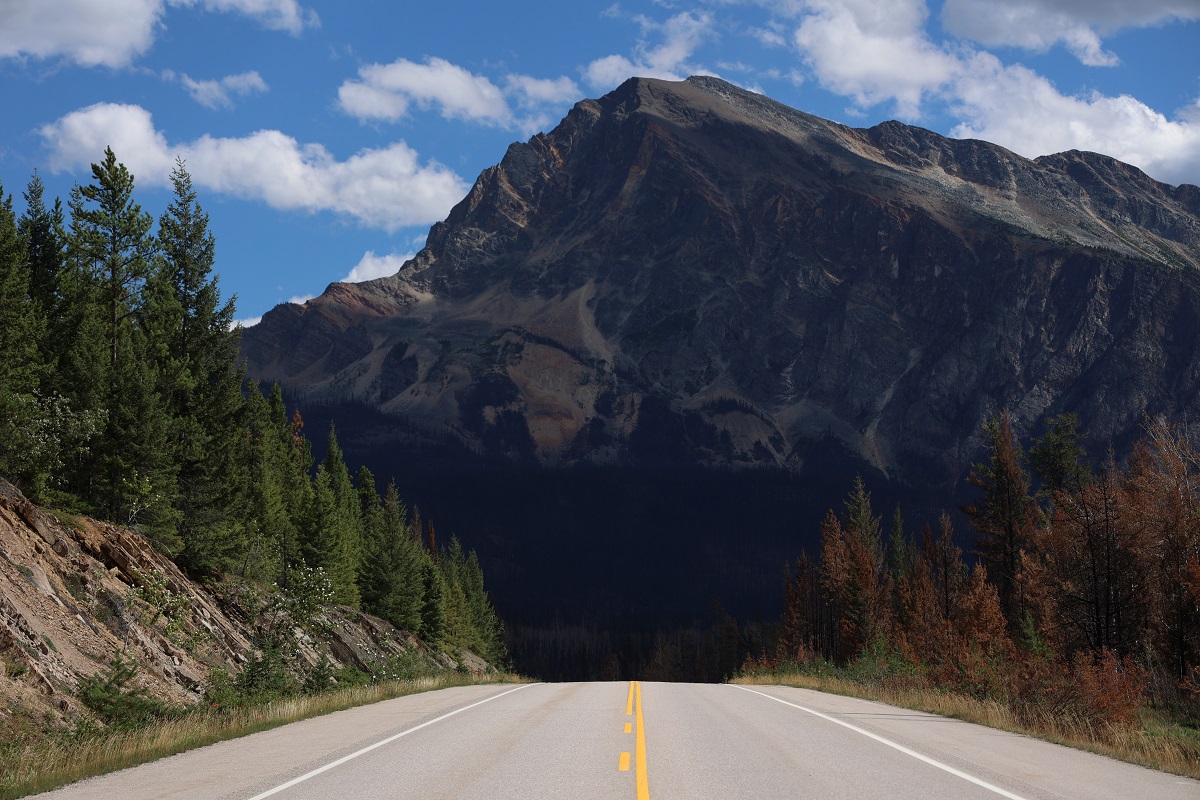 JasperNP's tweet photo. The Icefields Parkway (93N) is now open to through traffic. https://t.co/rdD8PUjSTF