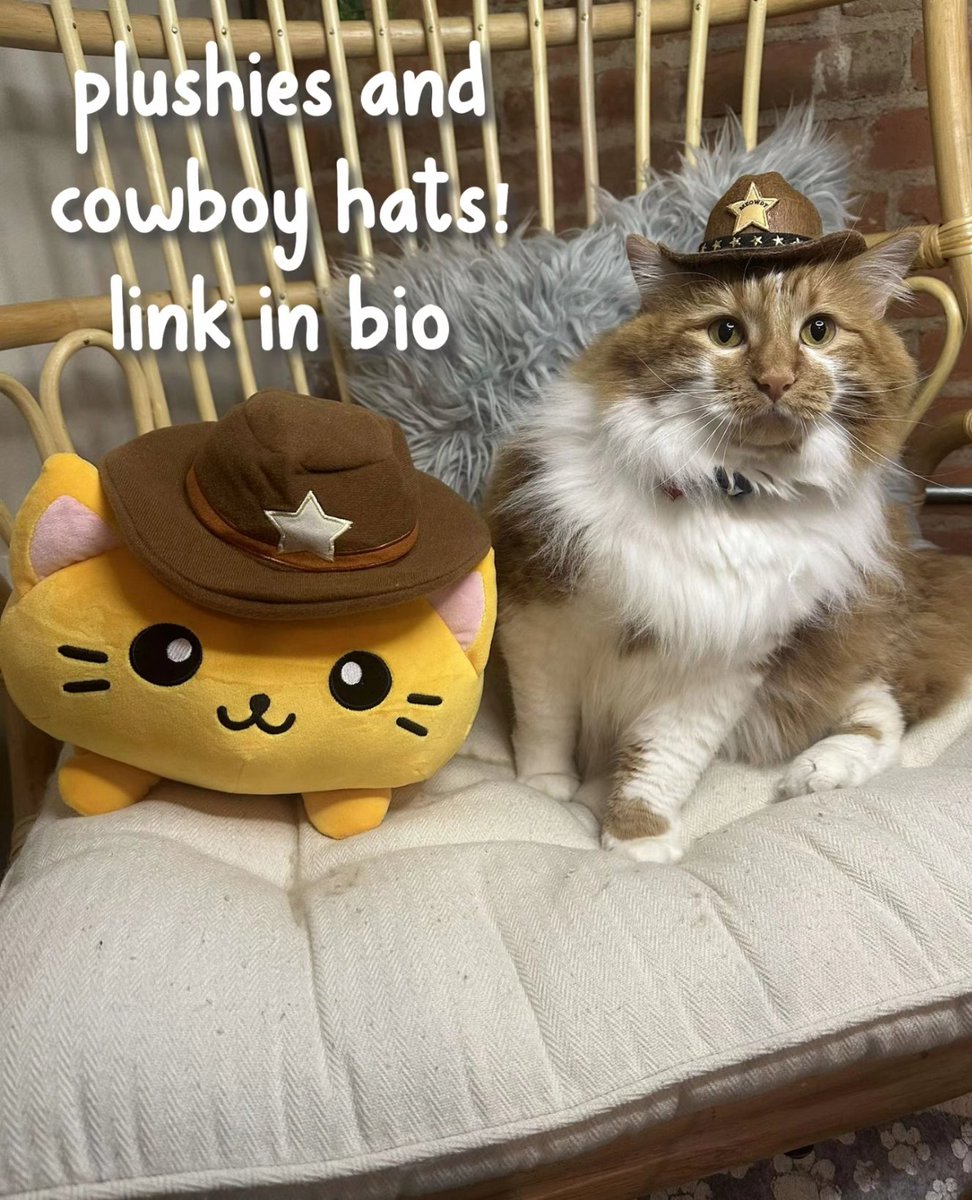 Be sure to lasso a cowboy cat hat and stuffed cowboy cat before they're gone! 🤠 Cowboycatsaloon.com