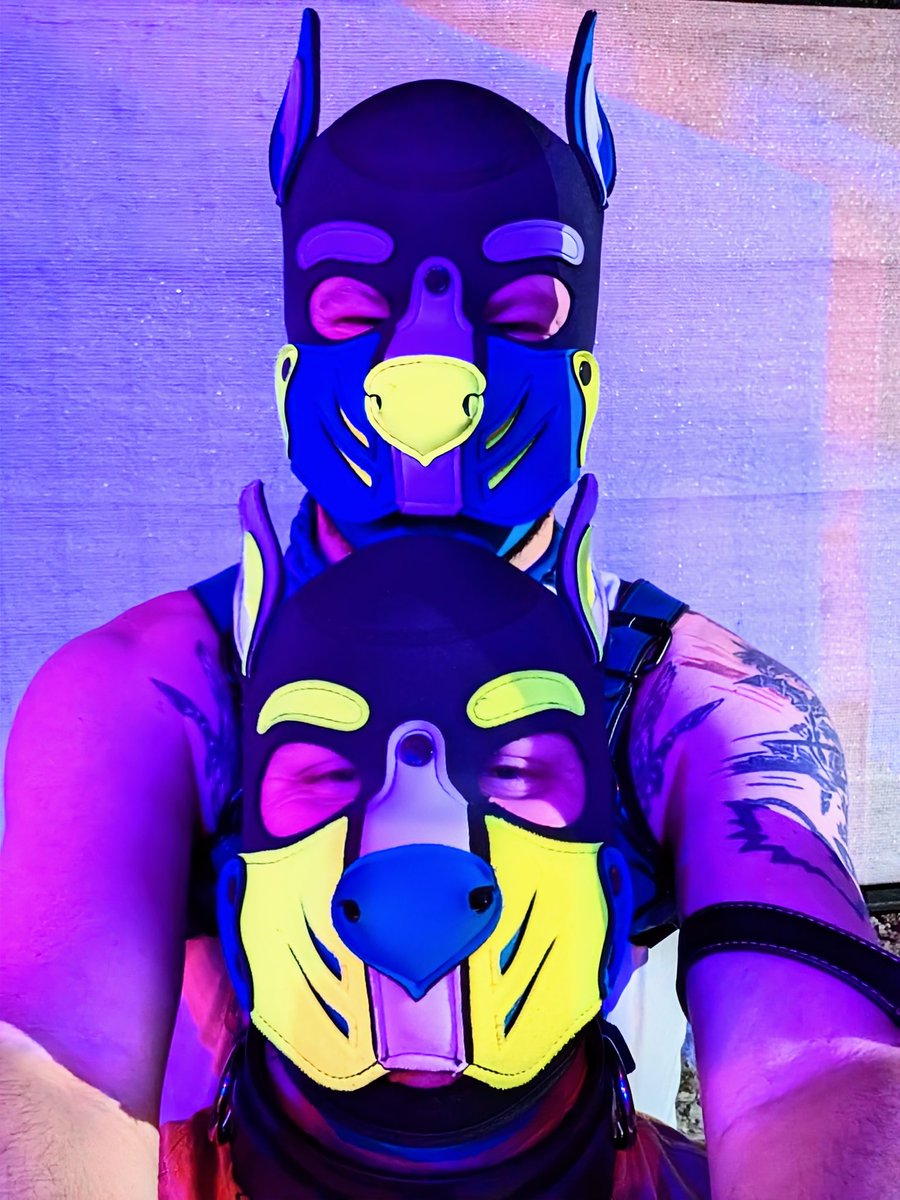 Had a great night out for POUND with my puppyyyyy 💙💛.

💛 <a href="/Lykos_pup/">Lykos</a>