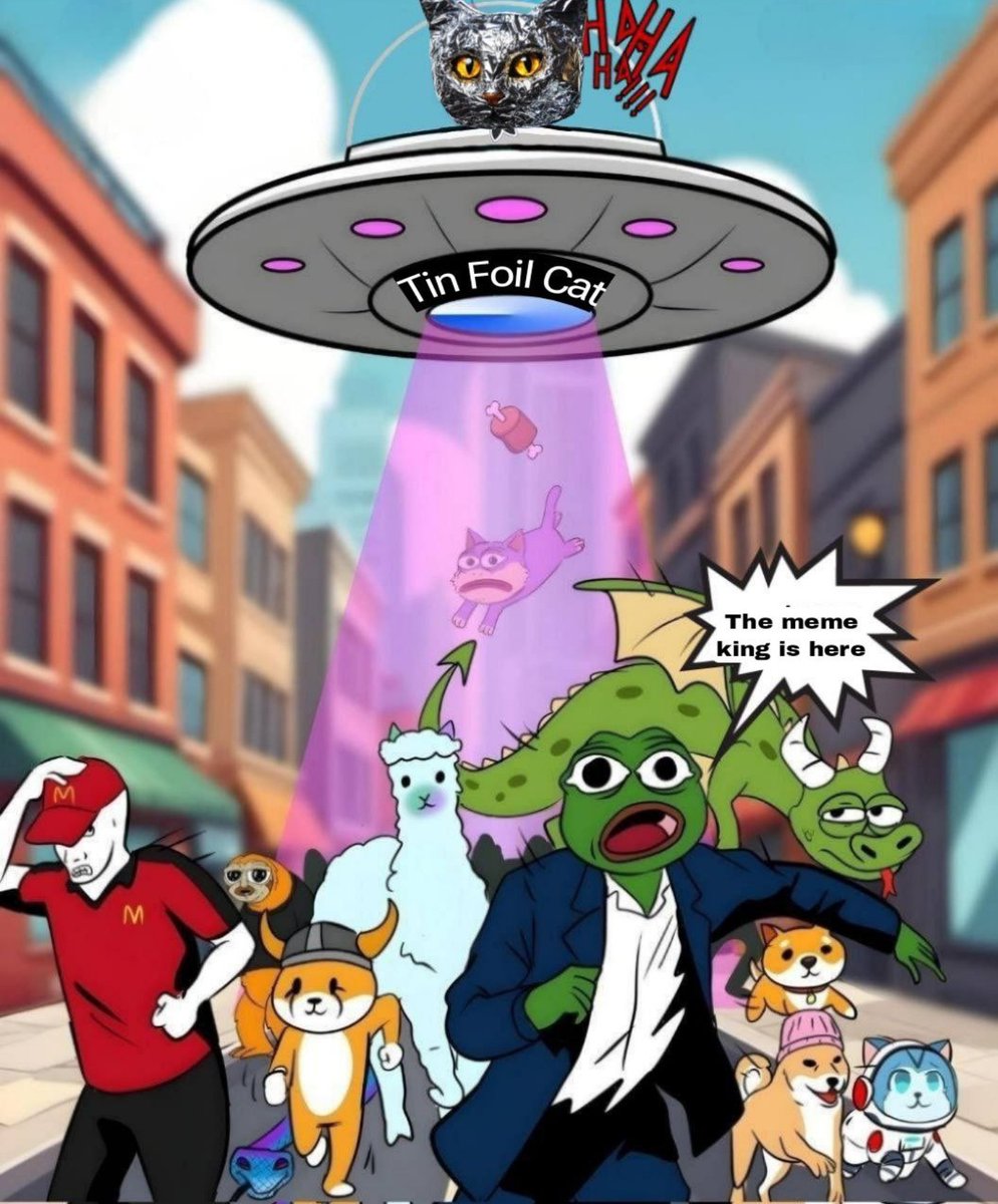 PiffyBetz's tweet photo. @cryptojourneyrs Still wrapping my wallet with the same #TINFOILCAT as earlier @TinFoilCatToken is sending all kinds of pussy to the moon 🌙 https://t.co/t9nLRYZd3f