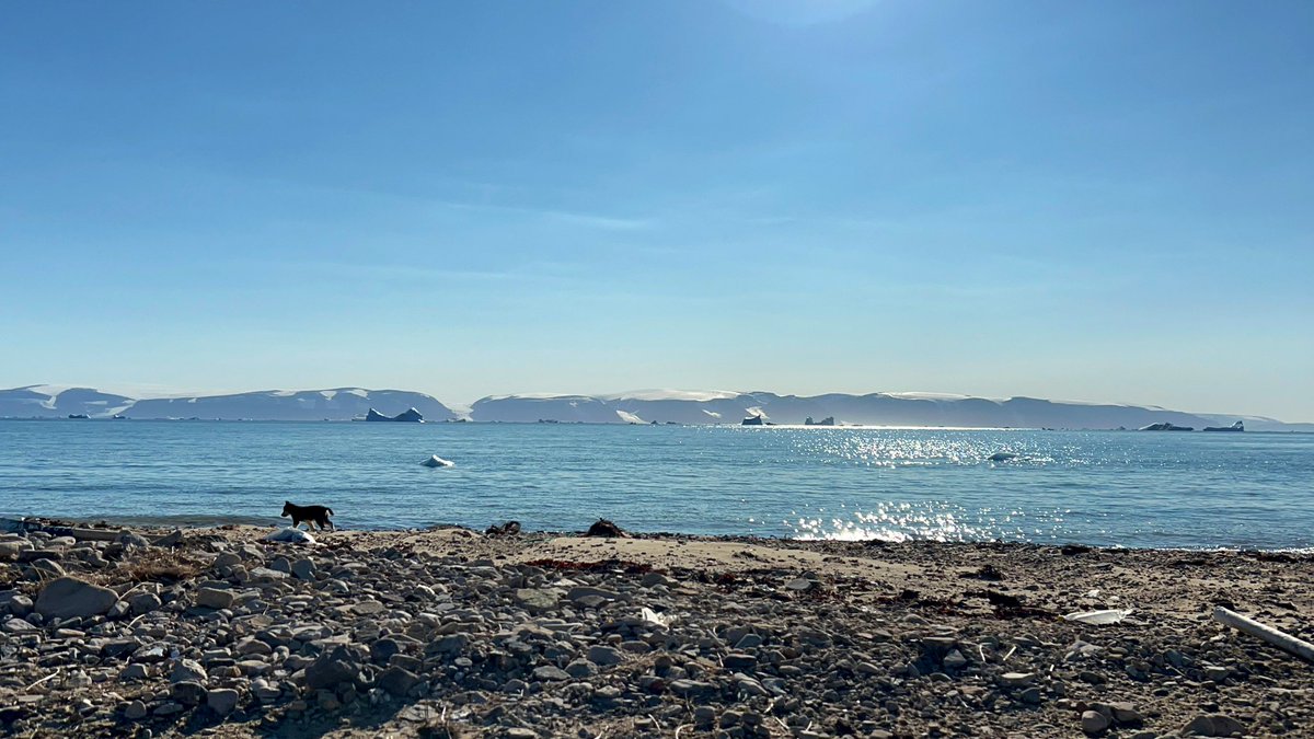 kinochytrid's tweet photo. Qaanaaqに行ってきました❄︎
みなさんありがとうございました!

#Greenland
#Qaanaaq https://t.co/oPMOMq3c2n