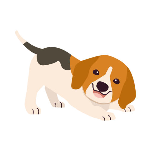 BnBeagle's tweet photo. Forget the moon, we’re aiming for the memeosphere! 🌌 Powered by pure meme energy and community love, our coin is here to make crypto fun again! 🎉 #MemeCoin #CommunityDriven #BNBMeme  #Binance https://t.co/FcZw0i9GEY