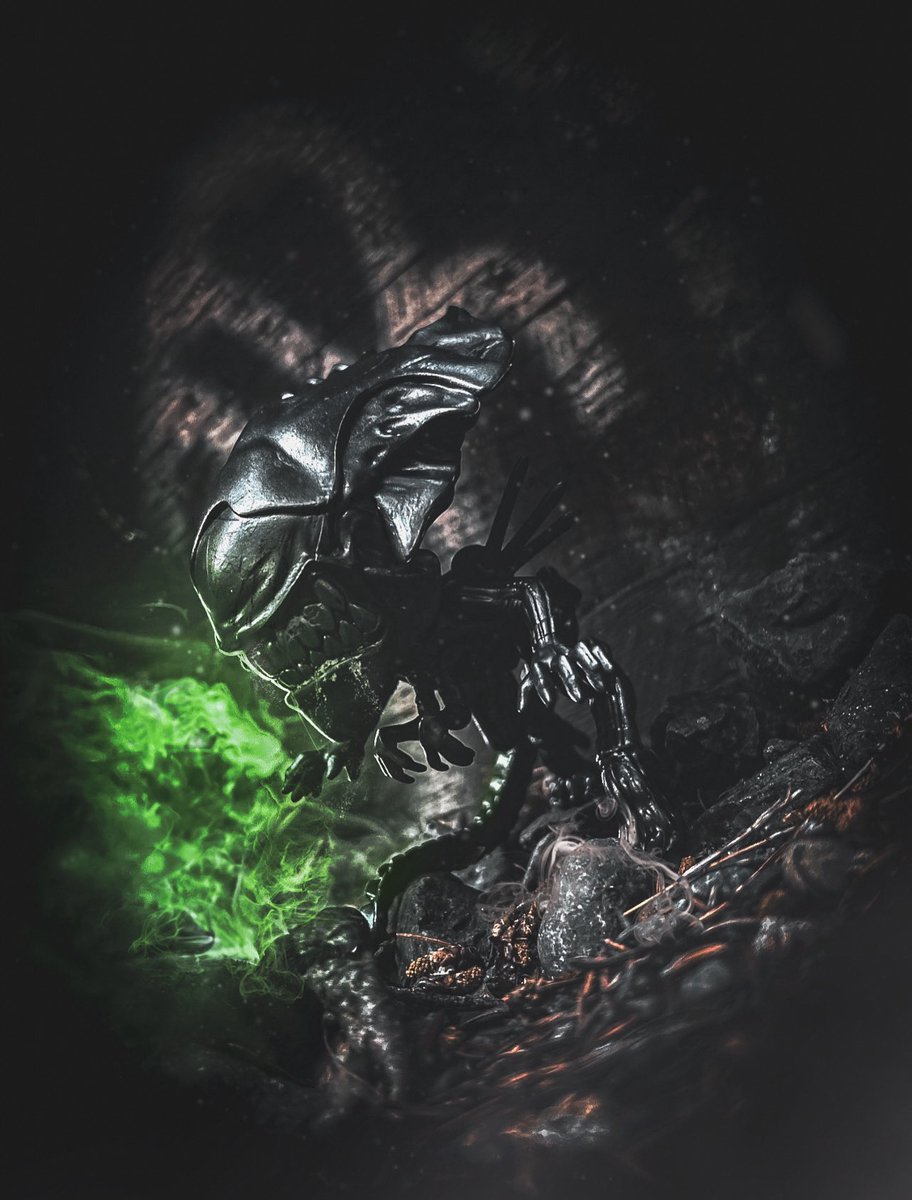 Purplishfalcon's tweet photo. Xenomorph queen #ALIEN #toyphotography #FunkoPop https://t.co/g23jJPTx9C