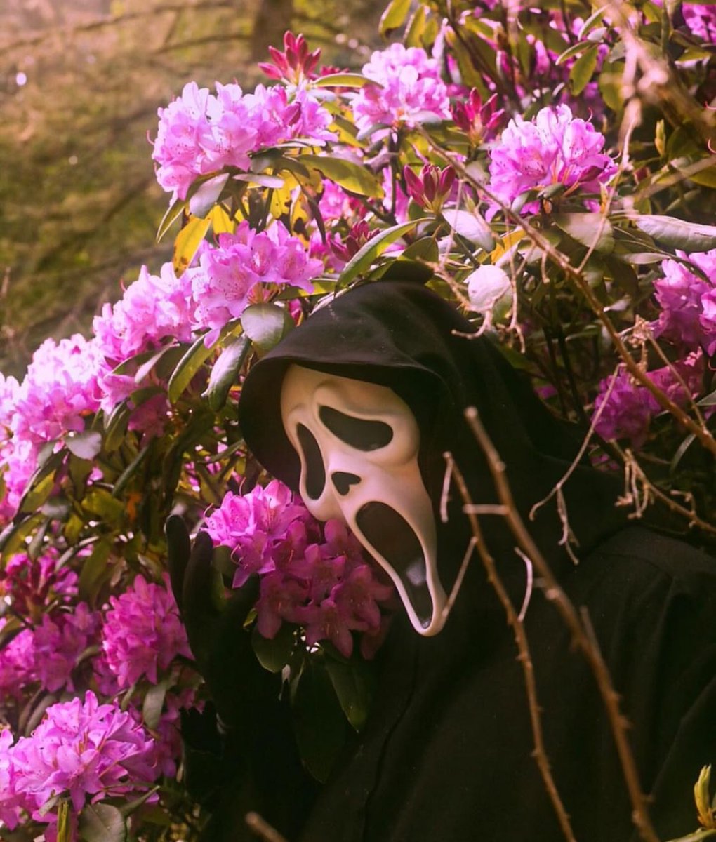 Scream Source tweet media