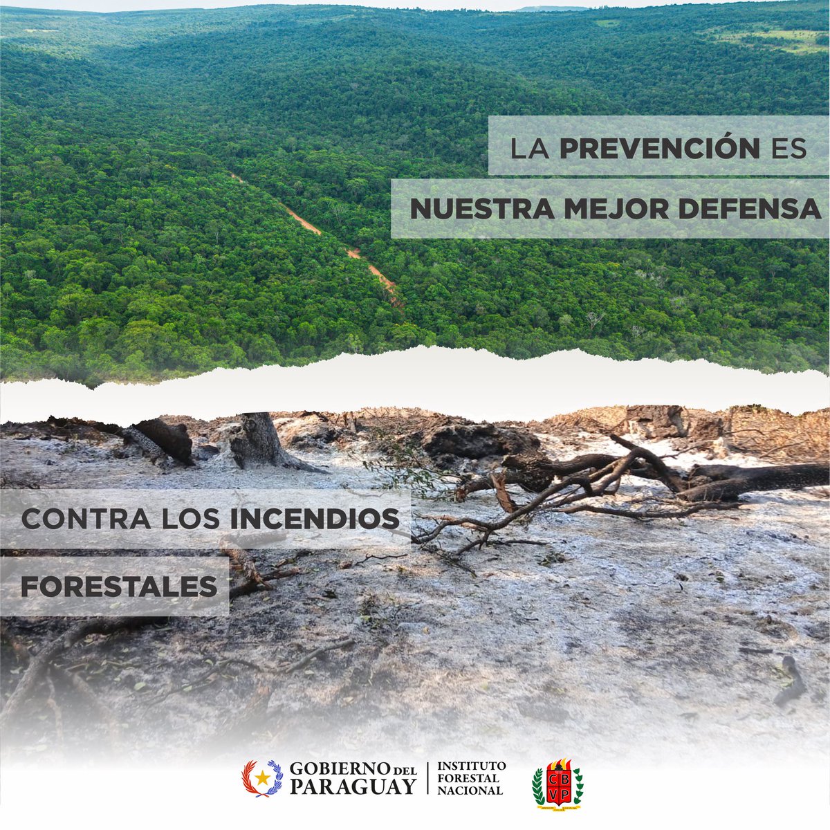 InfonaPy's tweet photo. Esto es lo que está en juego 👇

🌍 La prevención sigue siendo nuestra mejor herramienta.

¡Ayudanos! El fuego consume todo a su paso. No realices quemas 🔥🚫🌳

#infonapy #incendiosforestales #gobiernodelparaguay #gobiernoenelcampo https://t.co/CXPGcwkPgI