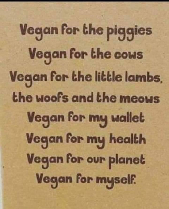 DERVIEMOO's tweet photo. For the animals💚💚💚 https://t.co/SsJpK5Gtju