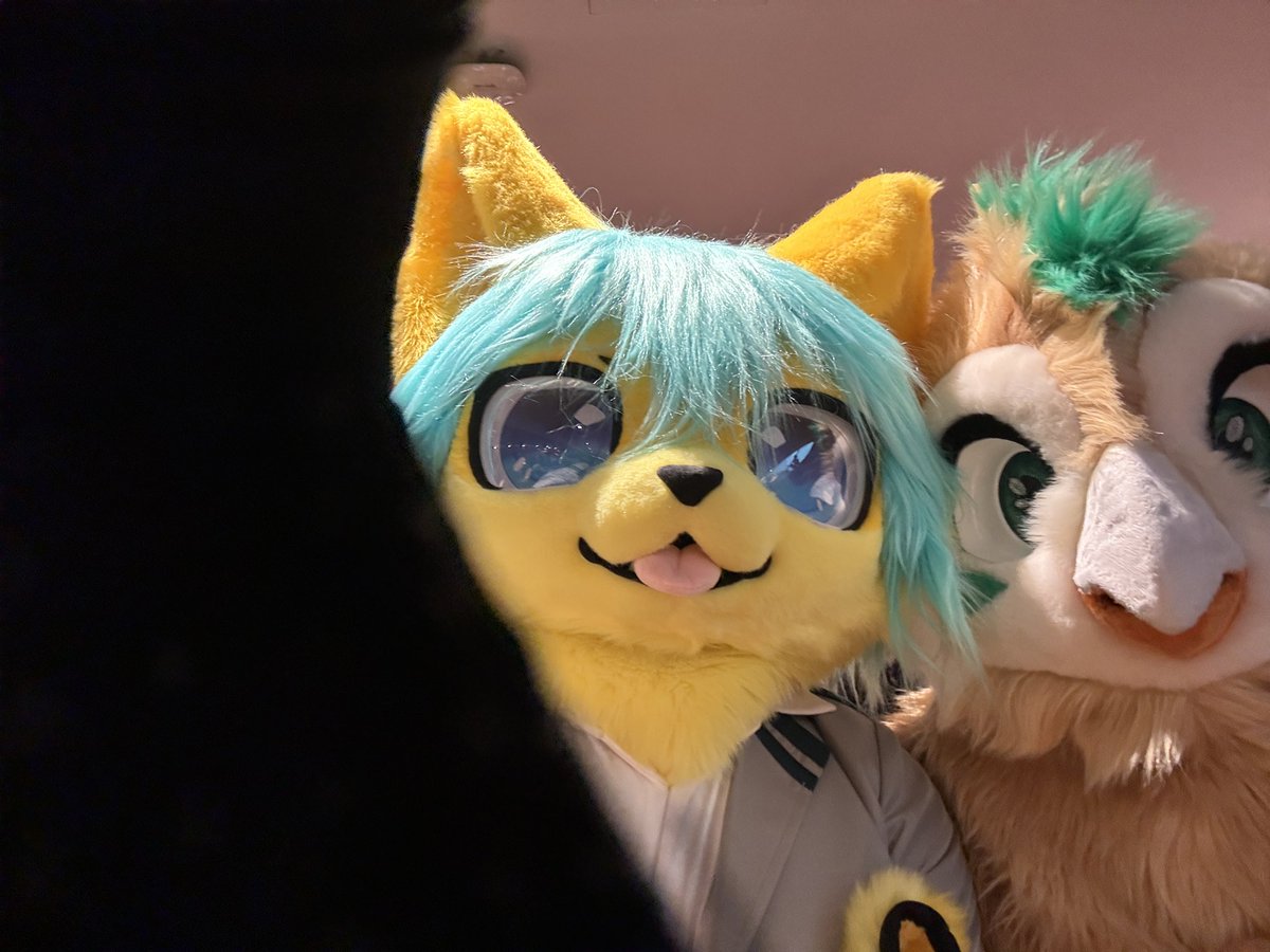 starrywuffy's tweet photo. 肉球で持つスマホで写真を撮ることはあまり簡単ではないと思います >w<

#FursuitFriday #fursuit #FurryFandom #Furry #Fursona #kemono #cosfest2024 https://t.co/1M3JVqw0UR