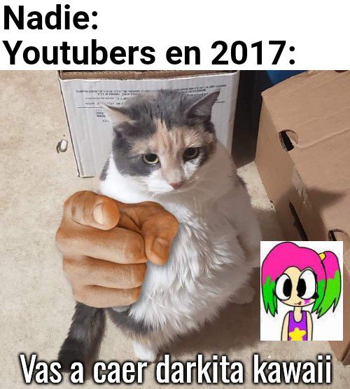 Shitpost Aleatorio tweet media