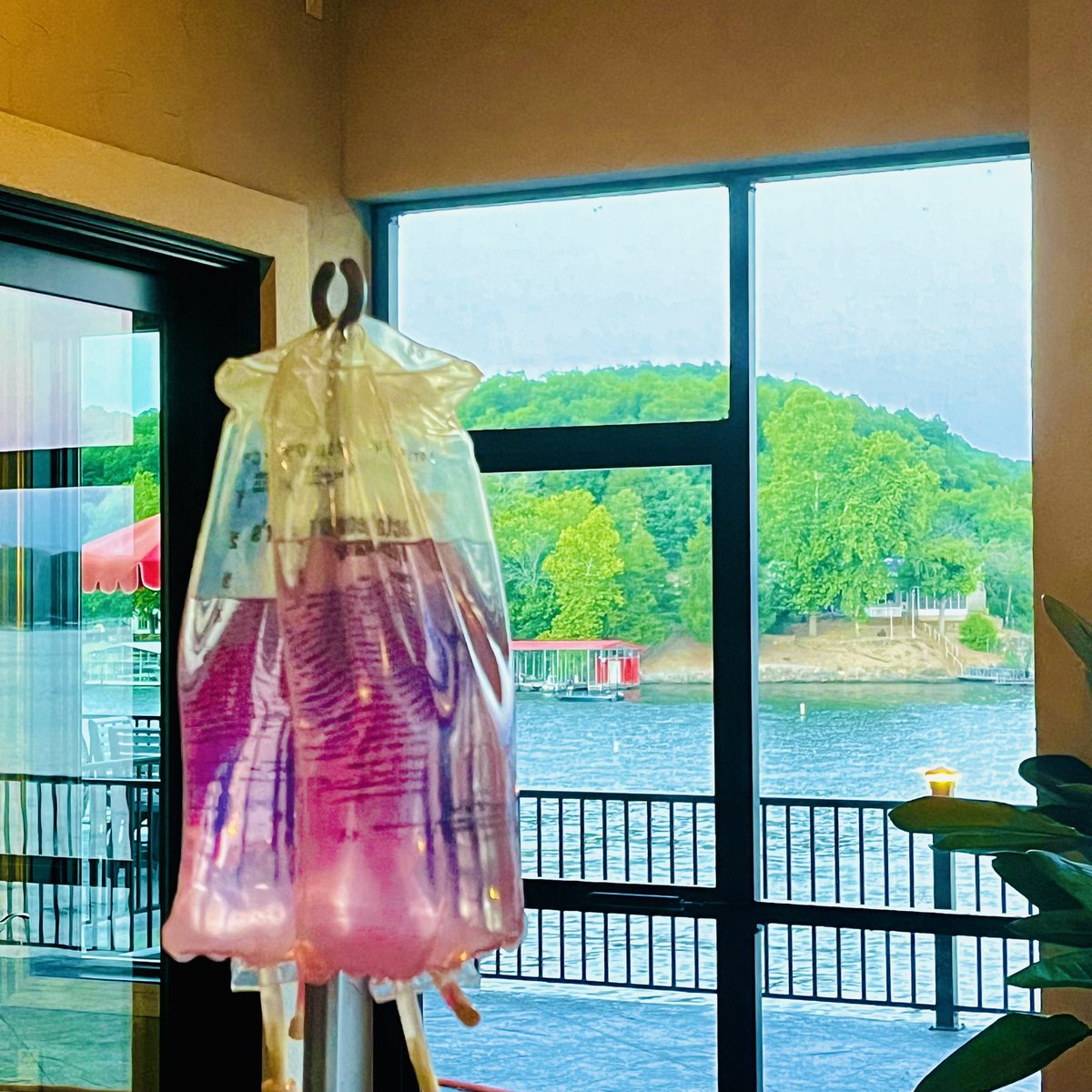 RecoveryHydrate's tweet image. IV Therapy in comfort of your home! Hangover relief! Immunity booster! Stay Healthy!
#mobileivtherapy #ivtherapy