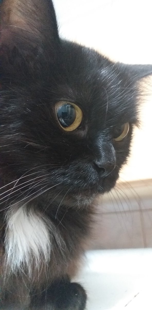 pabloisonfiire's tweet photo. Toda noite, antes de dormir, eu ainda posso sentir o peso e o calor do seu corpo sobre o meu. A melhor pessoa que eu já conheci. Foi amor a primeira vista. Minha alma gêmea. Eu prometo de encontrar novamente em outra vida. Te amo pra sempre. 🤍 https://t.co/pVS2MK0l08