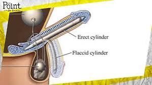 ReadMoreWatchTVLess tweet media