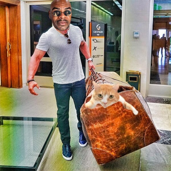 Wafflerj15's tweet photo. @binance Our bags are packed!👜
#Waffles 🧇 is ready to go!
🐈🧇😸
@Wafflesj15 https://t.co/dtOMdqfebh