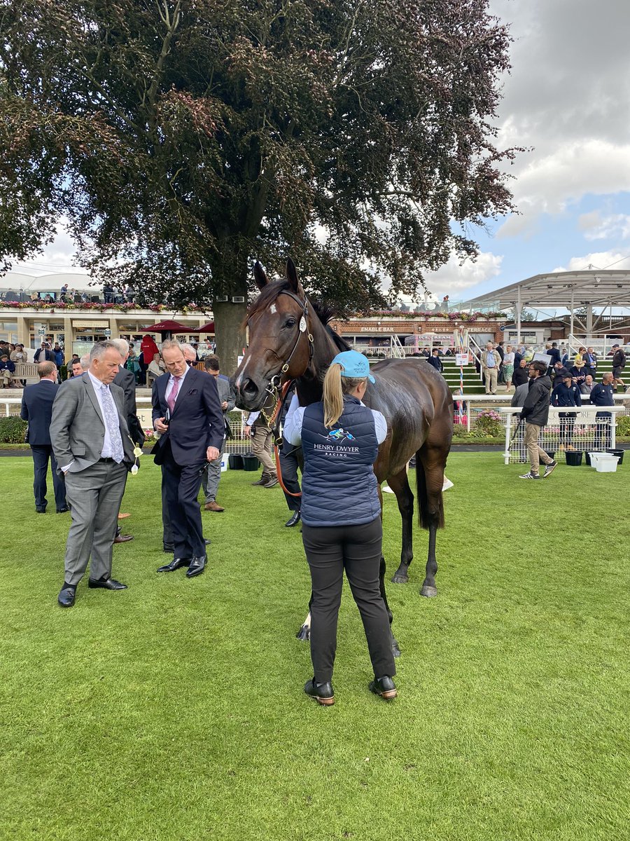 kierstenduke's tweet image. She did 🇦🇺 proud! #asfoora #EborFestival