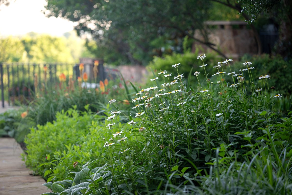 Studio Outside tweet media