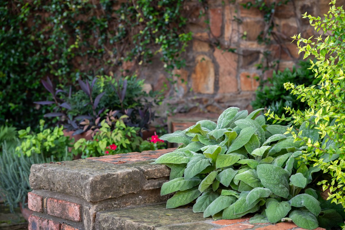 Studio Outside tweet media