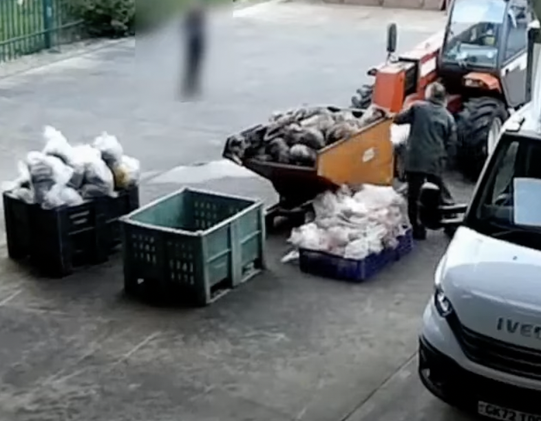 You may have seen our undercover footage in tonight's BBC documentary on the Badger cull - if one thing's for sure, it is clear that culling Badgers is not the solution. 

Please RT and sign our petition if you agree: protectthewild.org.uk/badger-petitio…