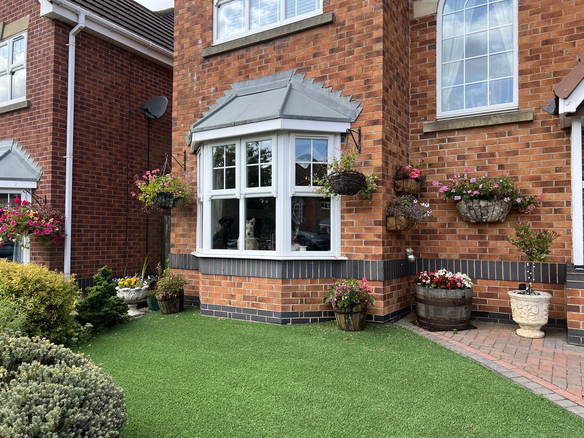 Mark Littlewood-Smart tweet media