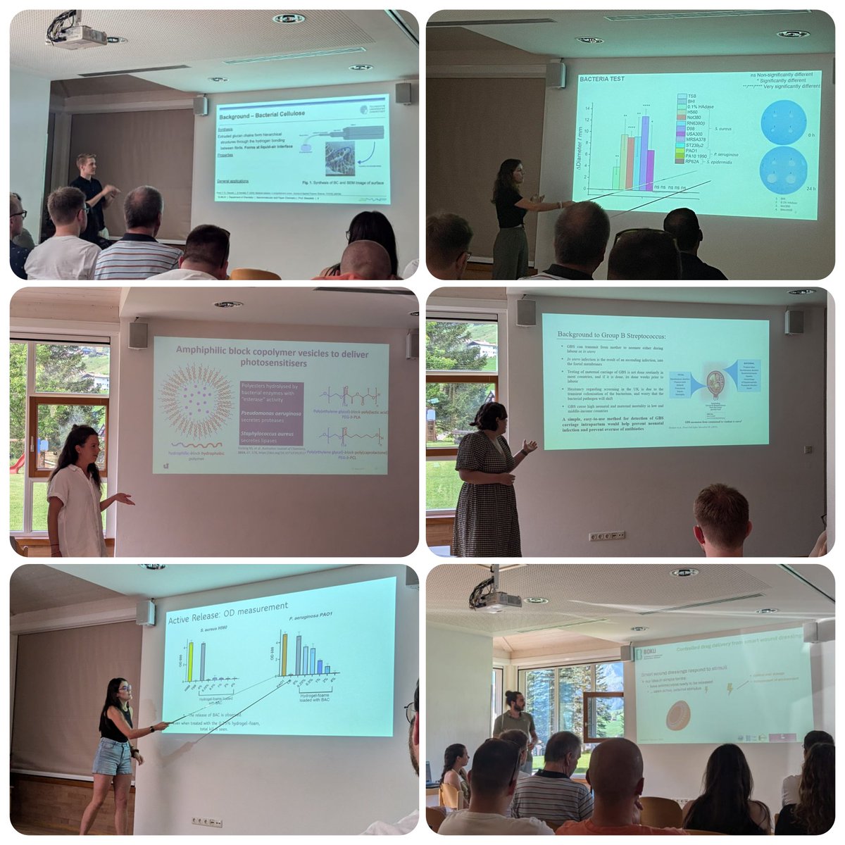 ESR_STIMULUS's tweet photo. Our ESRs enjoyed probably their last BioNano Summer school in Hirschegg, all together. It's now time for some of them to finish and go their way but the collaborations, friendships and learning experiences during this STIMULUS project were so enriching and should never stop!🥹🫂 https://t.co/dF4wppul8u