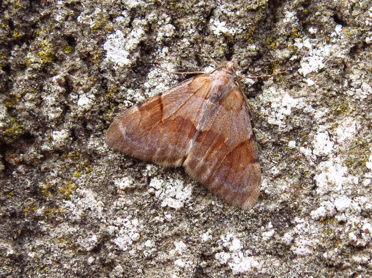 Nick Littlewood tweet media