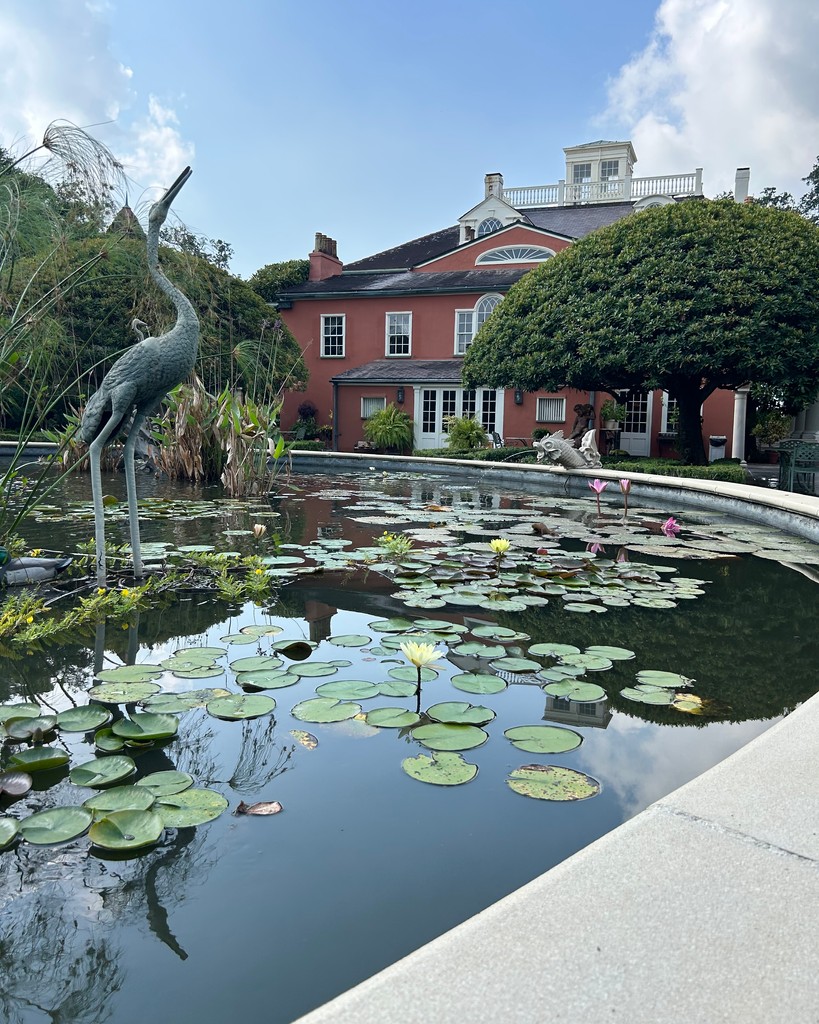 Wander through our lush gardens filled with vibrant blooms. Your perfect day out awaits!

Photo by Jessica Marchand