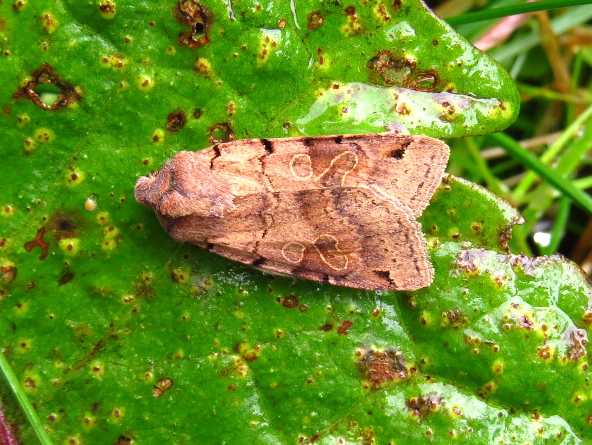 Nick Littlewood tweet media